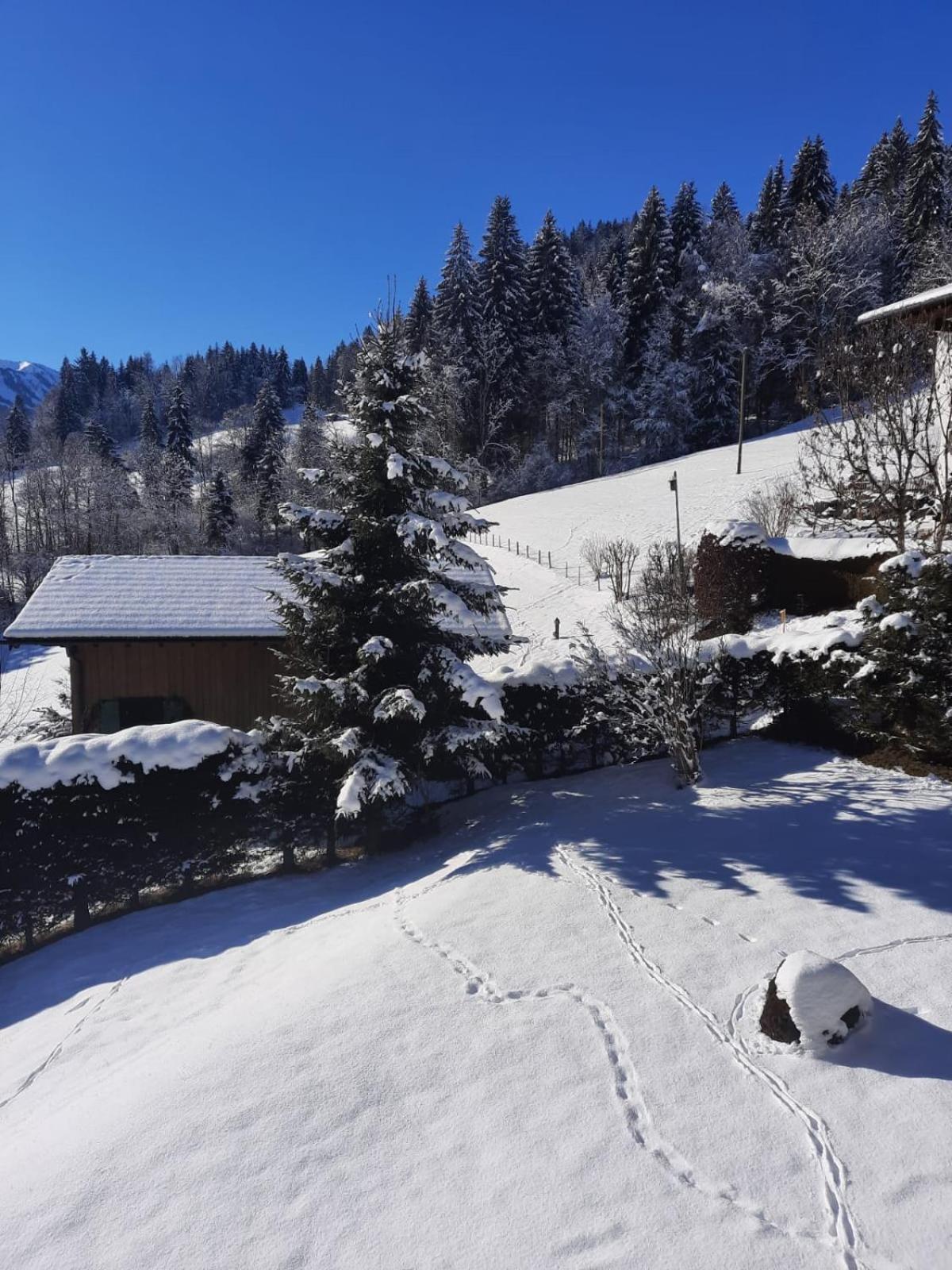 Gasthof Berghof Mehlan *