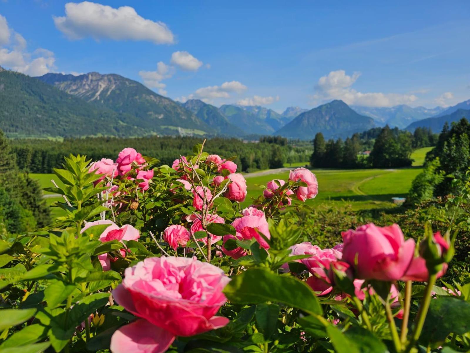 Berghof Mehlan Guest house *